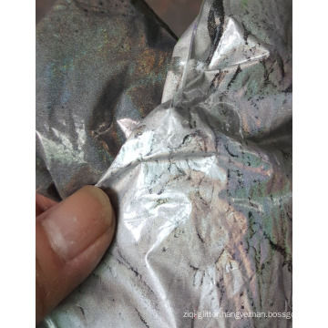 holographic pigment ink used for automobile paint